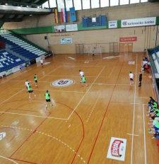 IMG 20181207 101545 225x300